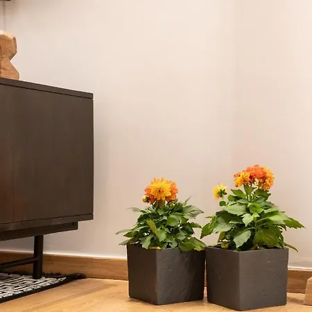 Acropolis Exclusive Apartment